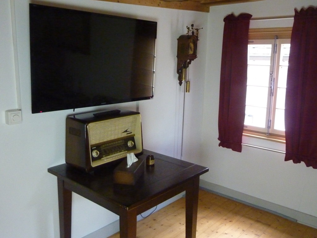 Flachbildfernseher und altes Radio - Mosel Urlaub in Ferienhaus Am Moselstausee, Am Moselstausee 6, 56858 St. Aldegund