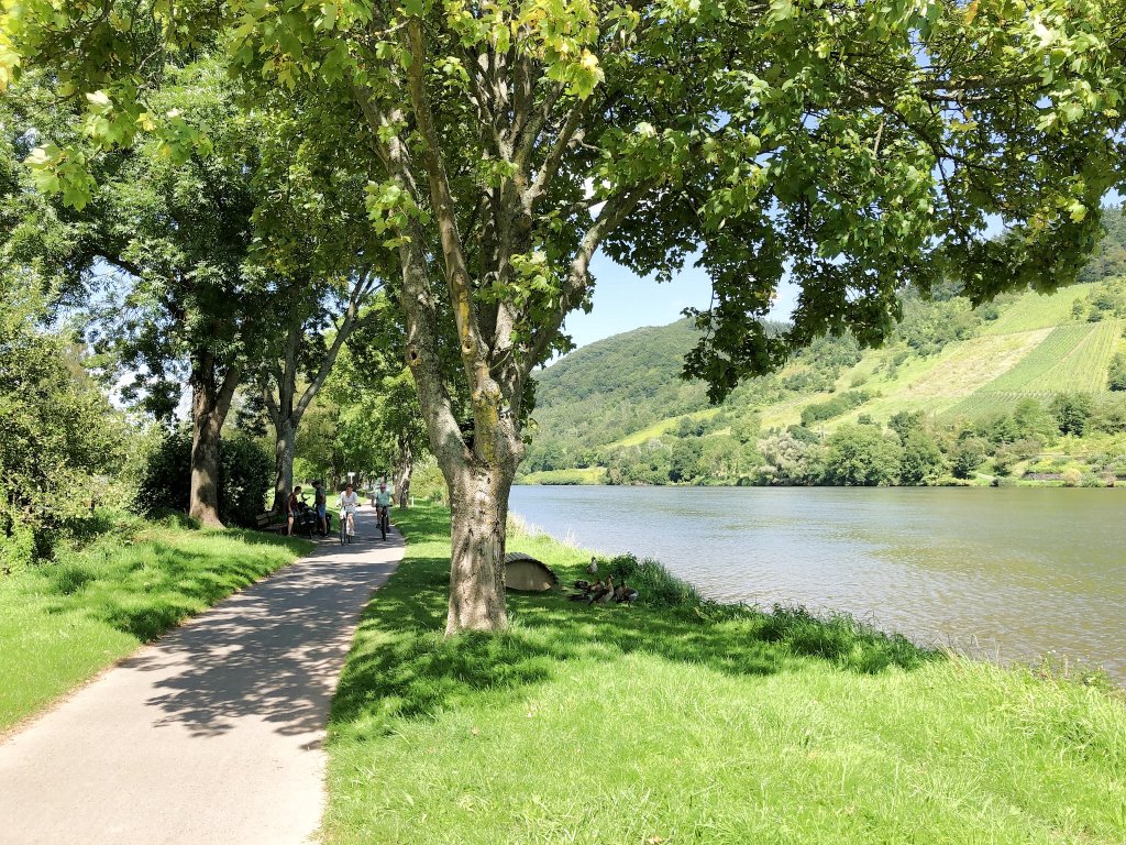 Fahrradweg bei Alf - Mosel Urlaub in Ferienhaus Am Moselstausee, Am Moselstausee 6, 56858 St. Aldegund